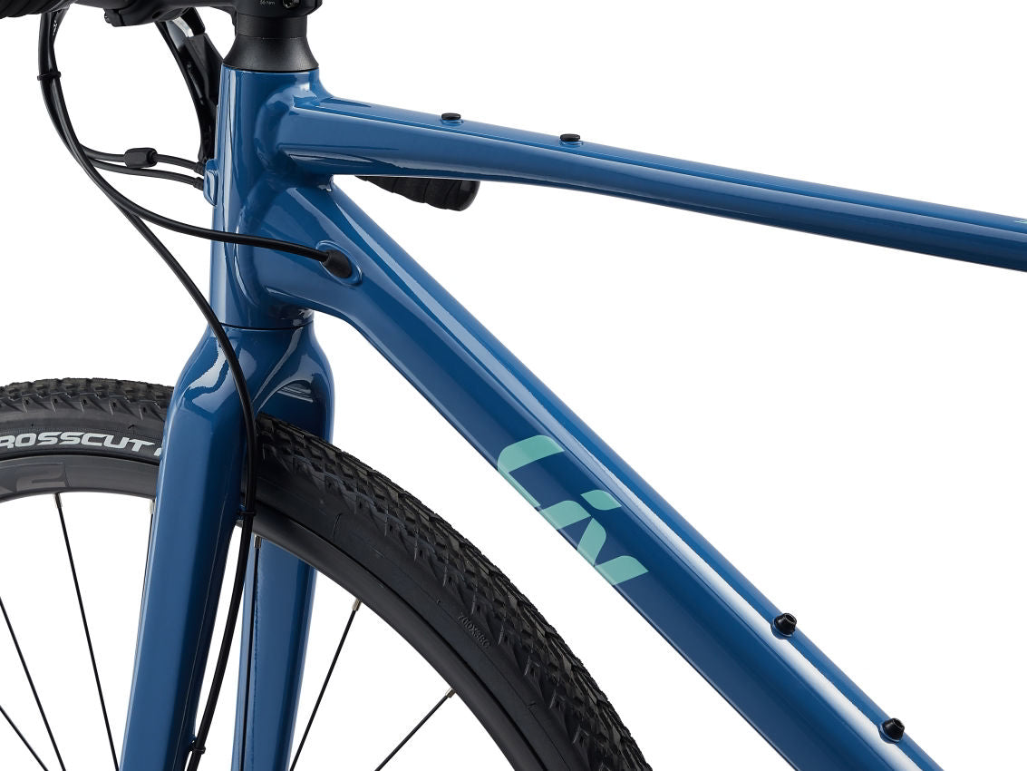 Liv Devote Advanced 1