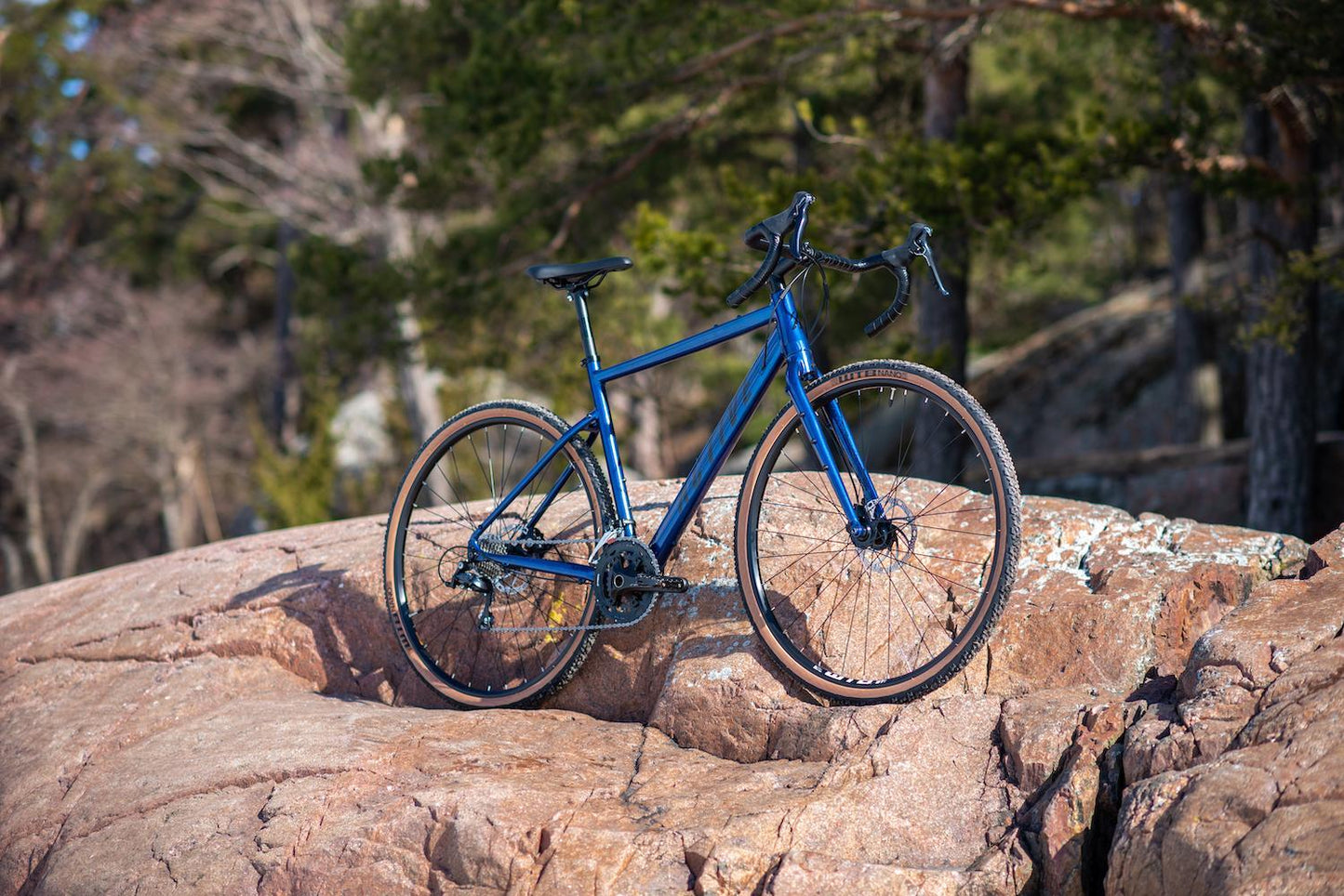 Wanted gravel 310 Blue 2022