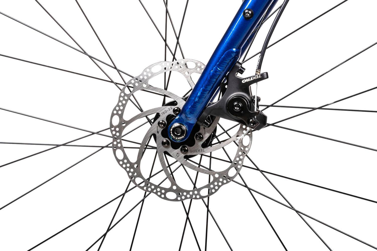 Wanted gravel 310 Blue 2022