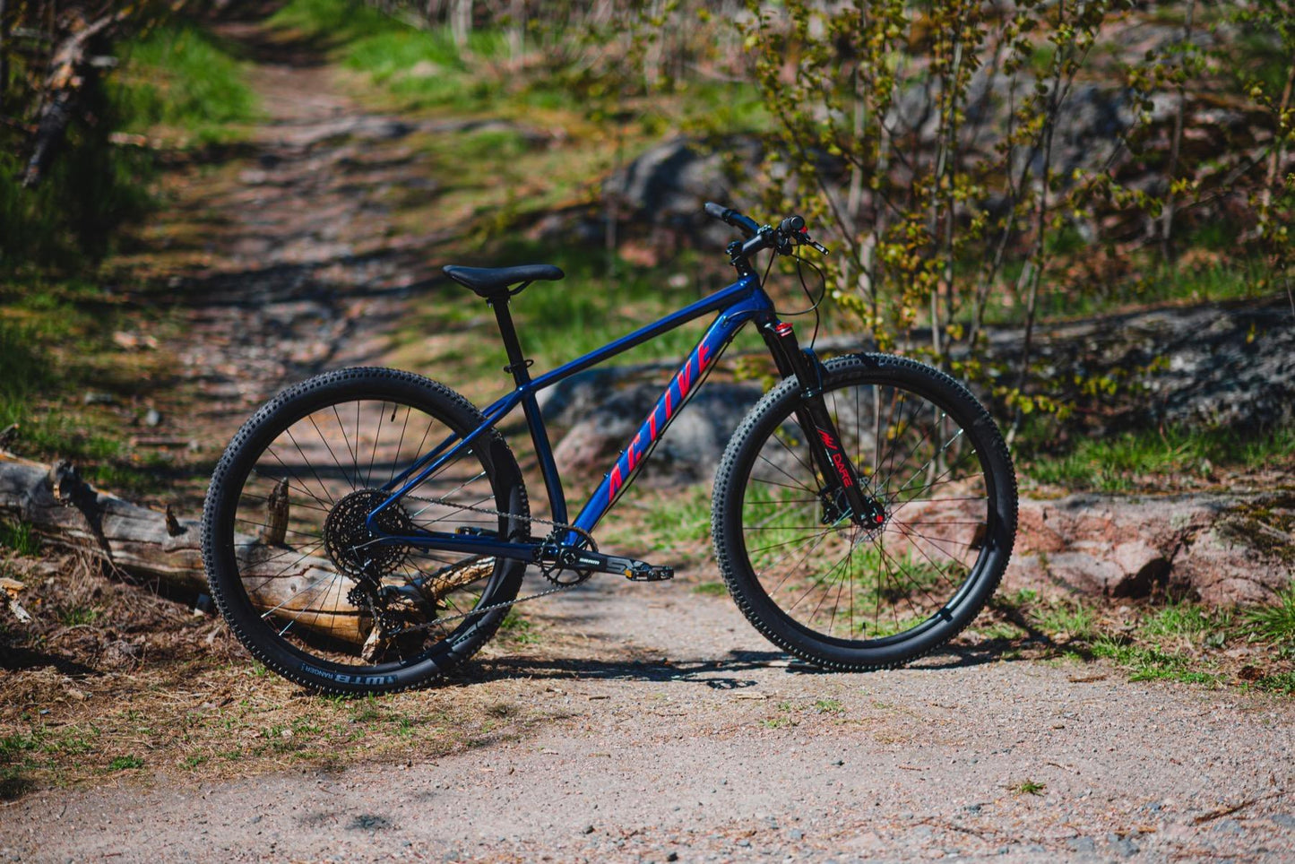 Bolt SX12 29 dark blue 2022
