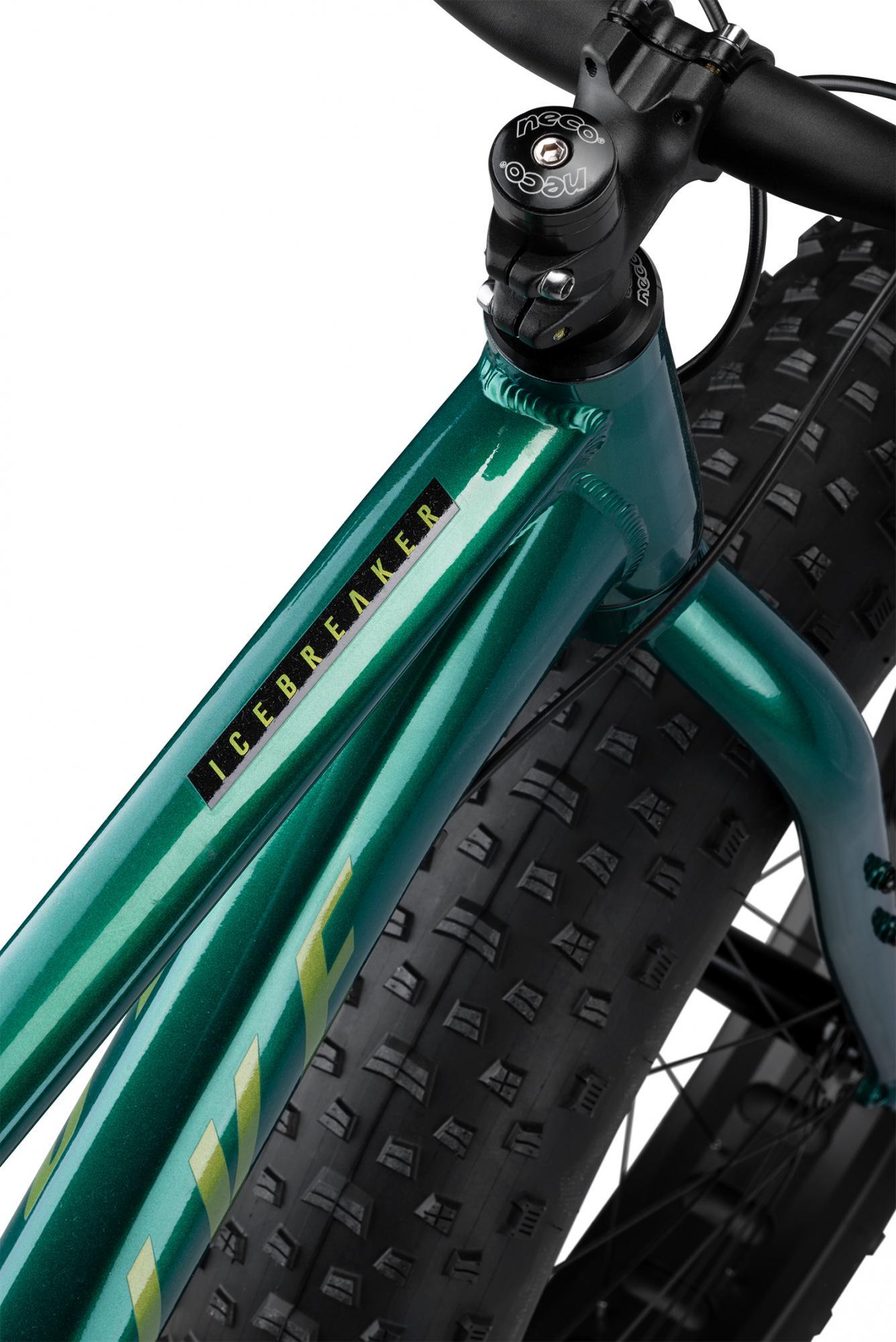 Icebreaker 10 Fatbike green