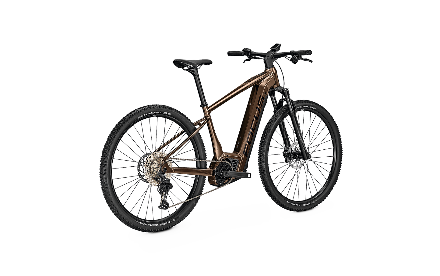 Jarifa2 6.8 29 Brown 2023