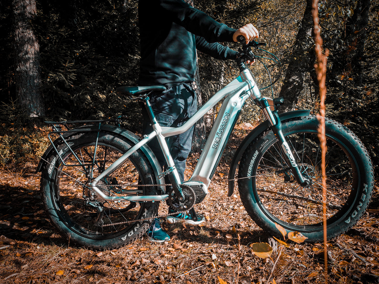 Meteor Fatbike