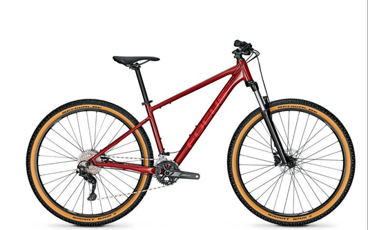 Focus Whistler 3.7 29 maastopyörä